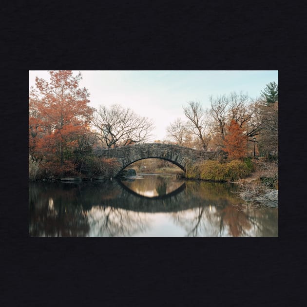 Central Park Bridge Reflection by igjustin